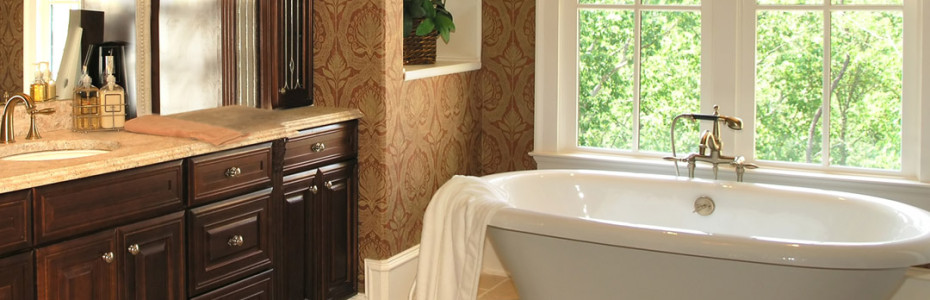 Mold Assessment Report